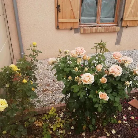 Holiday home Au Vieux Chene